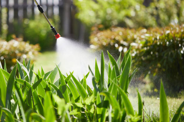 Tamper-Resistant Bait Stations for Rodents in Vanceboro