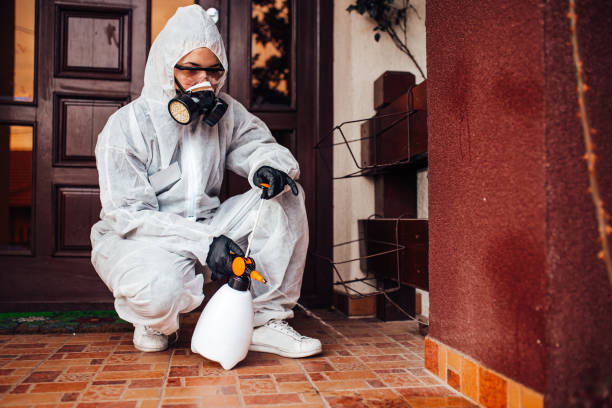 Attic and Crawl Space Rodent Treatment in Vanceboro