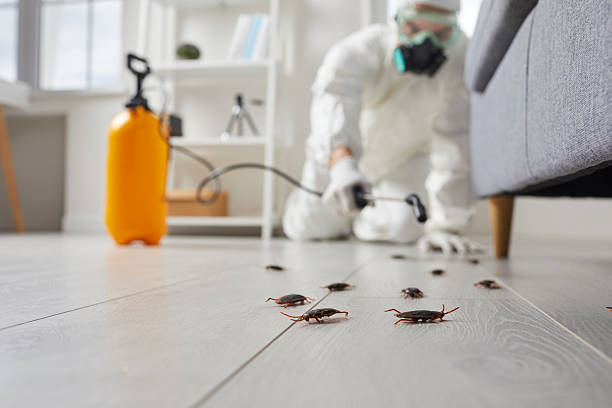 Commercial Rodent Management in Vanceboro